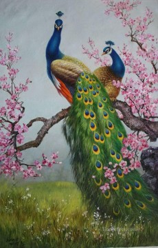 梅の花の鳥に孔雀 Oil Paintings